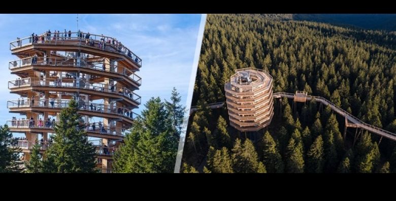  30 08  Prosecite krosnjama 30 metara iznad zemlje Probudite avanturista u sebi s Gorilla Travelom na jednodnevnom izletu u Maribor i Pot med krosnjami uz autobusni prijevoz iz Zagreba 