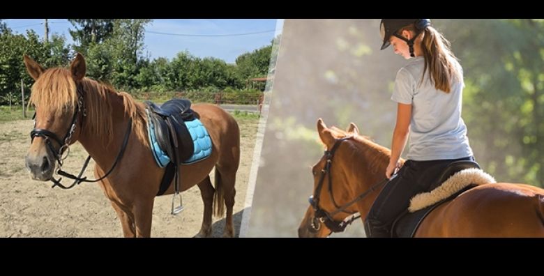 Jahacka avantura kroz netaknutu prirodu uz rijeku Kupu  2 sata terenskog jahanja za 1 osobu u organizaciji Udruge Sapat konja s kratkom obukom zastitnom opremom i pratnjom trenera 