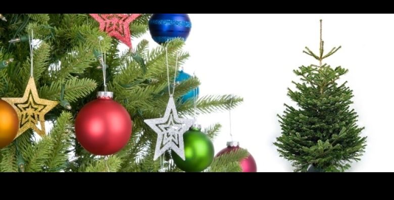 Djeca - Akcija, popust i sniženje. (ponuda: 253824)