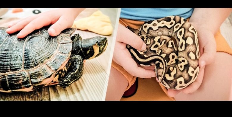 Dom i obitelj (ponuda: 253965)