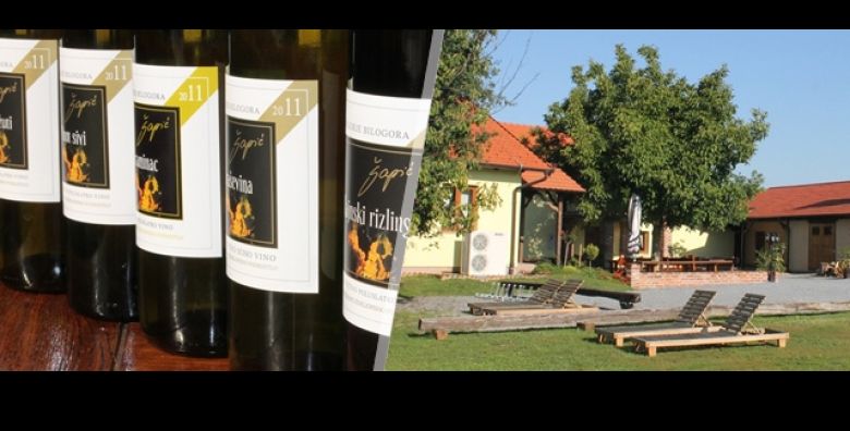 Estetska kirurgija - Akcija, popust i sniženje. (ponuda: 254999)