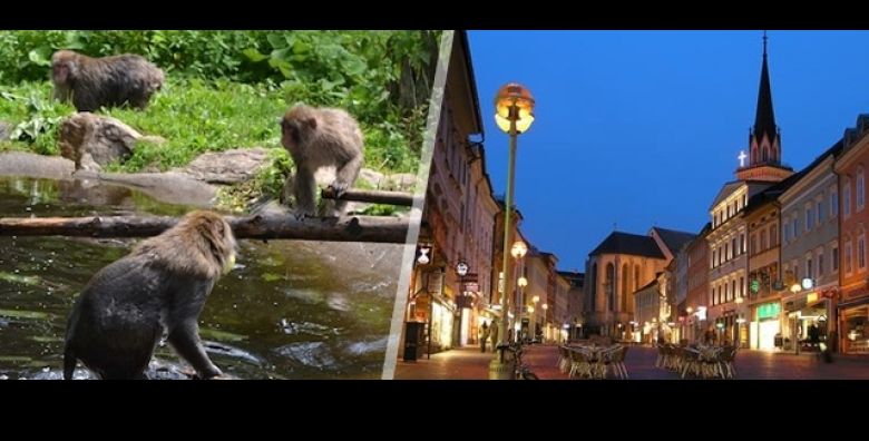 Darojkovic Promet vodi Vas na nezaboravan jednodnevni izlet s ukljucenim autobusnim prijevozom  bajkoviti Velden i Wörthersee jezero planina makaki majmuna Landskron i Villach 