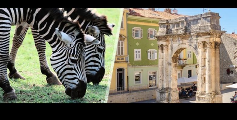 Dozivite jug Istre uz Smart Travel Caroban dan u Puli uz velicanstvenu Arenu i ocaravajuce ljepote Nacionalnog parka Brijuni uz ukljucen autobusni prijevoz Ne propustite ovaj nezaboravan izlet 