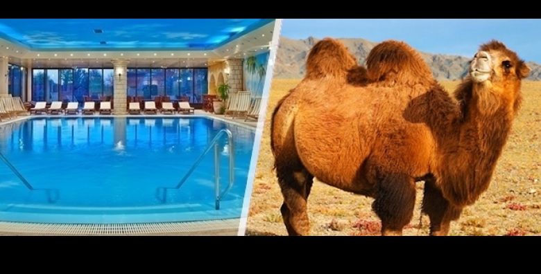 Upoznaj Djurdjevac  savrsen vikend u srcu Podravine 2 nocenja s polupansionom za dvije osobe u Hotelu Picok boravak za dvoje djece do 6 godina GRATIS i uzivanje u domacoj podravskoj kuhinji 