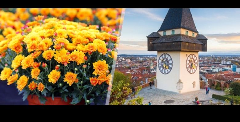 Idealan jednodnevni izlet za sve ljubitelje cvijeca  Darojkovic Promet vodi Vas u Tulln te sajam i izlozbu cvijeca Gartenbaumesse i Graz s ukljucenim autobusnim prijevozom 