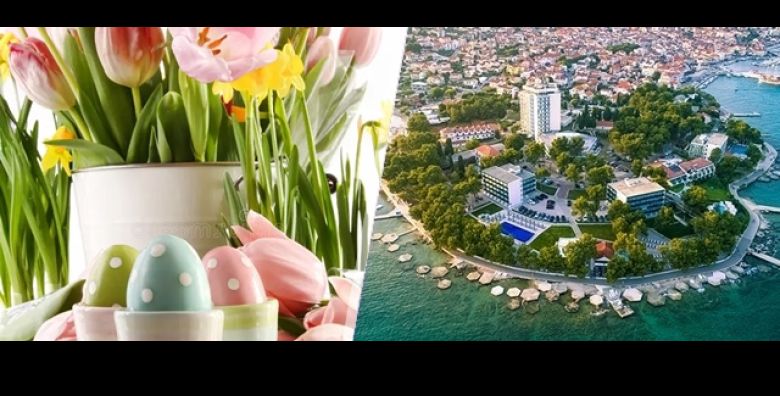 Program obrazovanja s upisom u radnu knjižicu - Akcija, popust i sniženje. (ponuda: 258921)