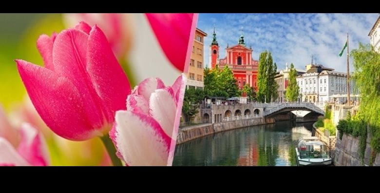 Istrazite SLOVENIJU  Darojkovic Promet vodi Vas na jednodnevni izlet u Arboretum Volcji Potok i Ljubljanu s ukljucenim autobusnim prijevozom 