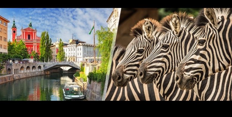 Darojkovic Promet vodi vas na jednodnevni izlet u LJUBLJANU i posjet cuvenom ZOO vrtu  sve uz ukljucen prijevoz strucno razgledavanje starog gradskog sredista i slobodno vrijeme za uzivanje 