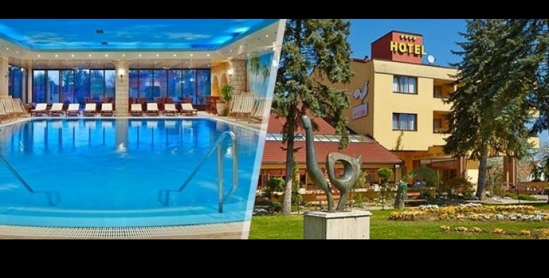 Odmorite tijelo i dusu u srcu PODRAVINE Prepustite se masazi i WELLNESS sadrzajima te otkrijte kulturne i prirodne atrakcije DjURDjEVCA uz 2 nocenja s POLUPANSIONOM za 2 osobe u Hotelu Picok 