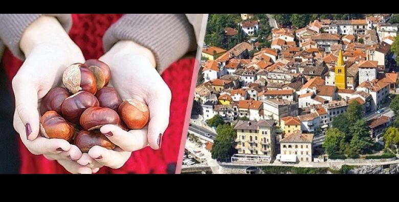 Program obrazovanja s upisom u radnu knjižicu - Akcija, popust i sniženje. (ponuda: 267856)
