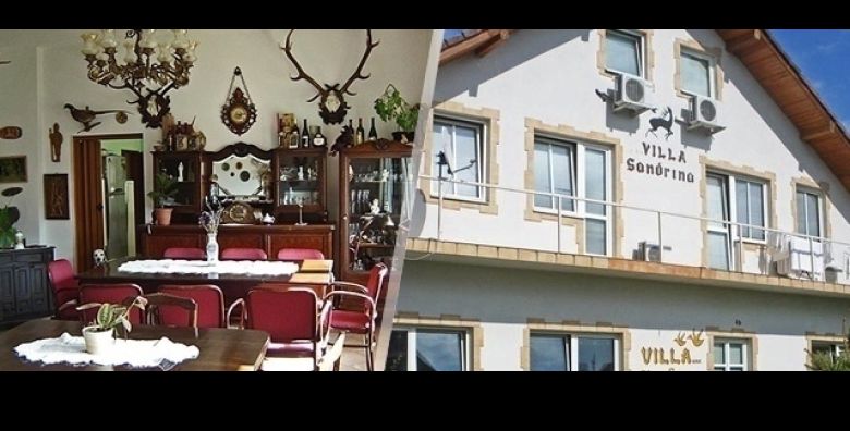 DOZIVITE BARANJU na najbolji nacin 2 nocenja za dvoje u Villi Sandrina s polupansionom DOMACIM SPECIJALITETIMA i nezaboravnom vecerom uz zivu cigansku glazbu 