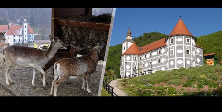  31 10  Jelenov greben Olimje  Kongres carovnica uz ZAGRIZI PUTOVANJE Odusevite obitelj IZLETOM u carobnu Sloveniju uz vrhunsku organizaciju: jeleni cokolada i carolija za sve generacije 
