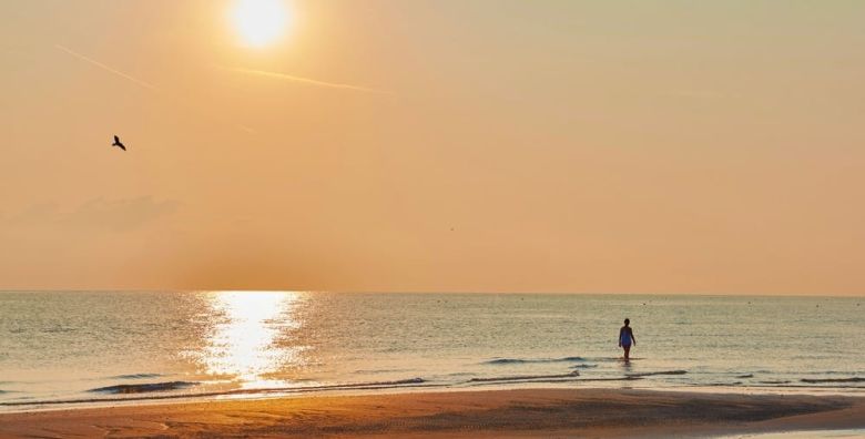 Hotel Diana  Odmor uz talijansku obalu Rimini Italija  855 €