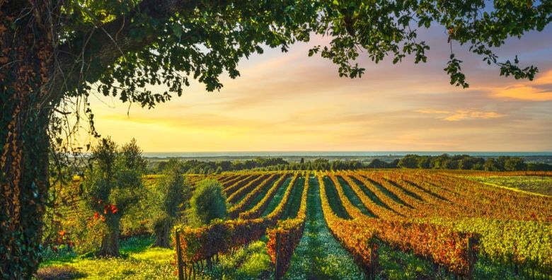 Villa San Filippo  Odmor u Toskani Barberino di Val dʼElsa Italija  464 €