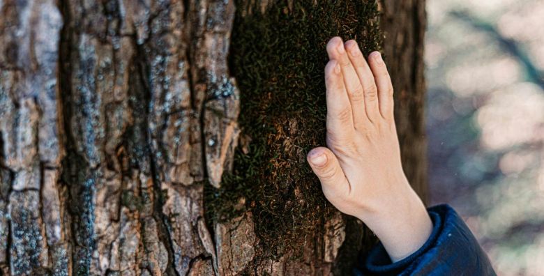 Wellness hotel Montis  Obiteljski paket adrenalina i tecaj prezivljavanja u prirodi Mozirje Slovenija  329 €