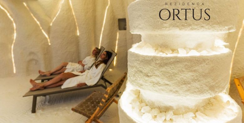 Hotel Rezidenca Ortus  Bogati wellness paket opustanja Ankaran Slovenija  319 €