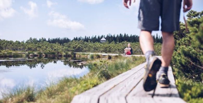 Forest Apartments Videc  Jesen na Pohorju  Paket za 10 osoba Pohorje Slovenija  249 €