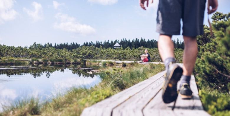 Forest Apartments Videc  Ljeto na Pohorju paket za 10 osoba Pohorje Slovenija  249 €