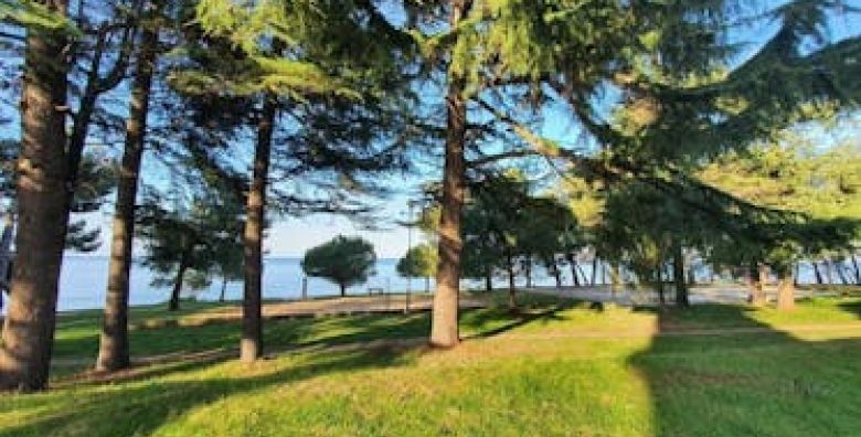 Youth Hostel Pinesta  Odmor u Novigradu Novigrad Istra Hrvatska  79 €