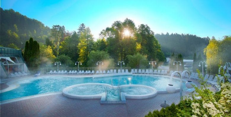 Hotel Vesna  Terme Topolsica  Romanticni ili obiteljski odmor u termama Topolsica Slovenija  239 €