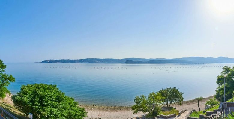 Apartmani Kanegra Plava Laguna  Ljeto u Istri uz polupansion  Umag Istra Hrvatska  339 €