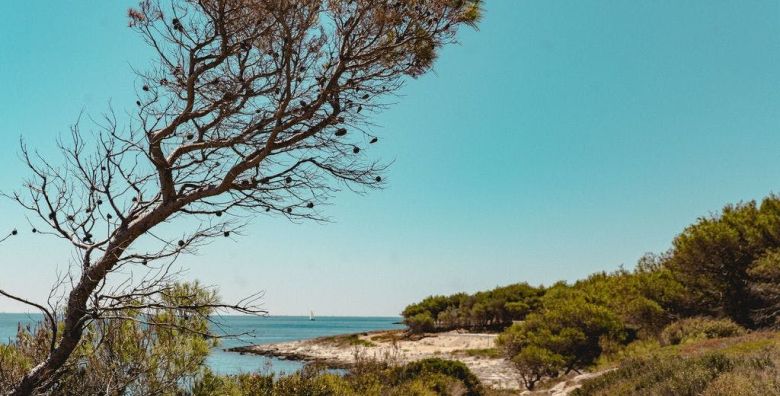 Obonjan Island Resort  O Tent S  Kraj sezone Obonjan Dalmacija Hrvatska  237 €