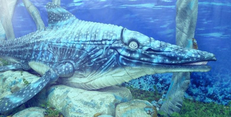 Dinopark Bled  Ulaznica za djecu Lesce Slovenija  6 €