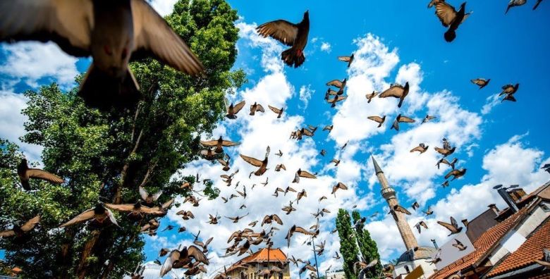 Aparthotel Centar Sarajevo  Odmor u Sarajevu Sarajevo Bosna i Hercegovina  85 €