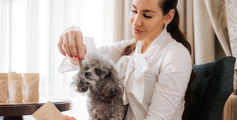 Hotel Zagreb  Vrhunski odmor s kucnim ljubimcem Rogaska Slatina Slovenija  319 €