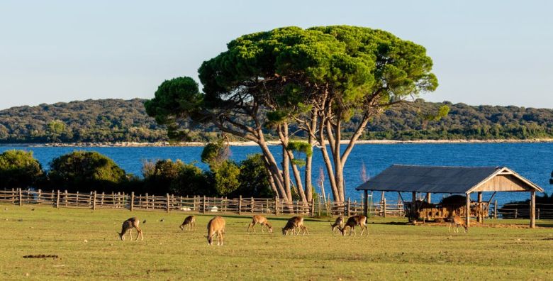 Boutique Hotel Villetta Phasiana  Odmor u Istri uz ulaznice u NP Brijuni Fazana Istra Hrvatska  289 €