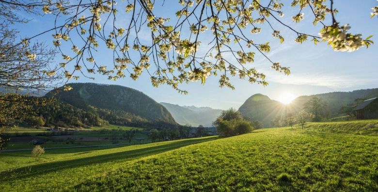 Apartmani MM BOHINJ  Odmor u prirodi Bohinj Slovenija  248 €