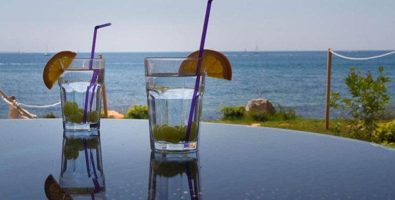 Apartmani Erica Pineta  Jesenski odmor u Novigradu Novigrad Istra Hrvatska  110 €