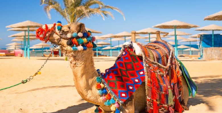 All inclusive odmor u Hurgadi Hurgada Egipat  799 €