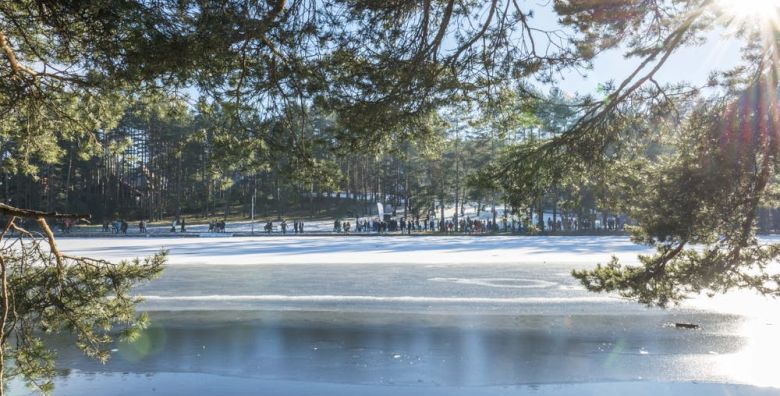 All Season Residence  Obiteljski zimski odmor na Zlatiboru Zlatibor Srbija  513 EUR  7x nocenje u Premium apartmanu za 2 osobe 2 djece do 11 99 godina boravi besplatno  Dorucak