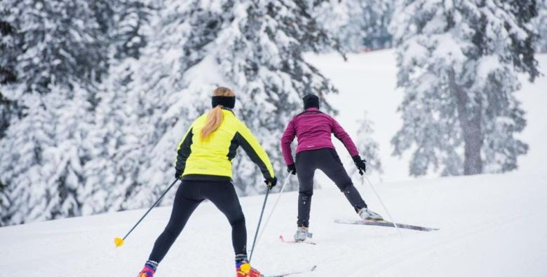 Vile Terme Zrece  SKI  SPA paket  Apartman Zrece Slovenija  636 €