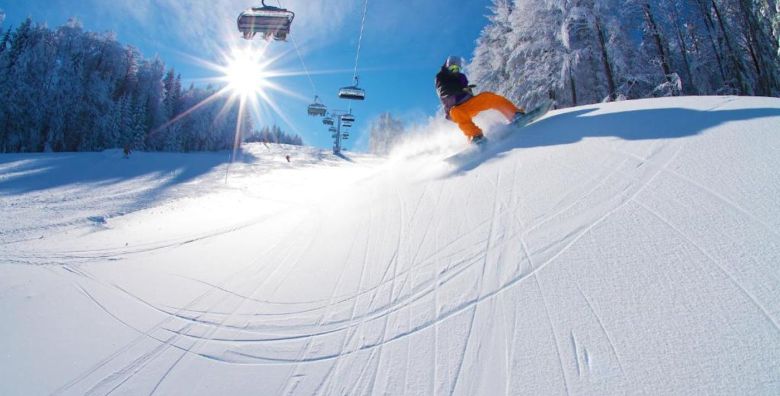 Forest Apartments Videc  Skijanje i wellness s polupansionom za 3 osobe Pohorje Slovenija  509 EUR  2x nocenje u jednosobnom apartmanu s balkonom ili terasom za 3 osobe Polupansion