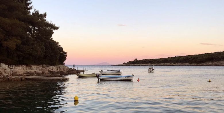 Plesna škola - Akcija, popust i sniženje. (ponuda: 252533)