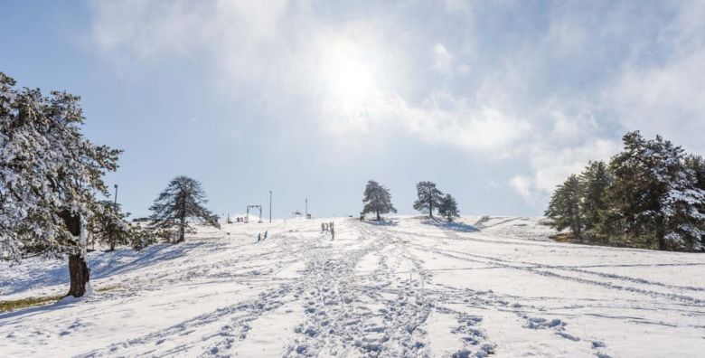 Garantirani polasci - Akcija, popust i sniženje. (ponuda: 252842)