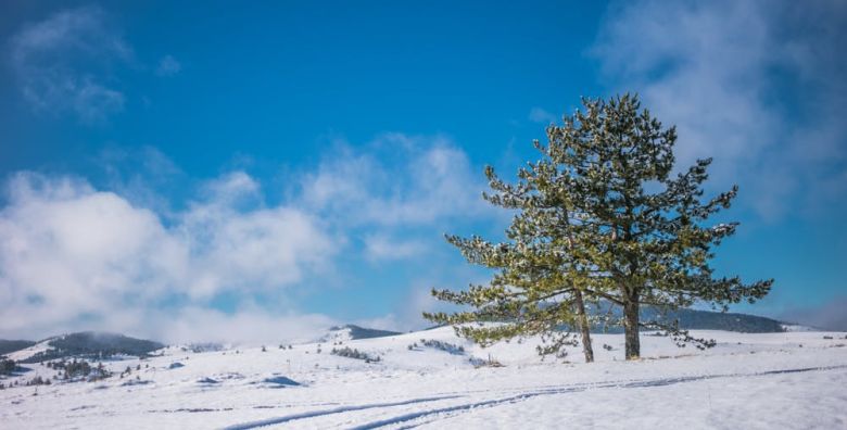 Garantirani polasci - Akcija, popust i sniženje. (ponuda: 252851)