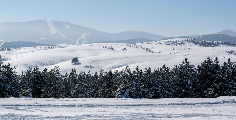 Garantirani polasci - Akcija, popust i sniženje. (ponuda: 252853)