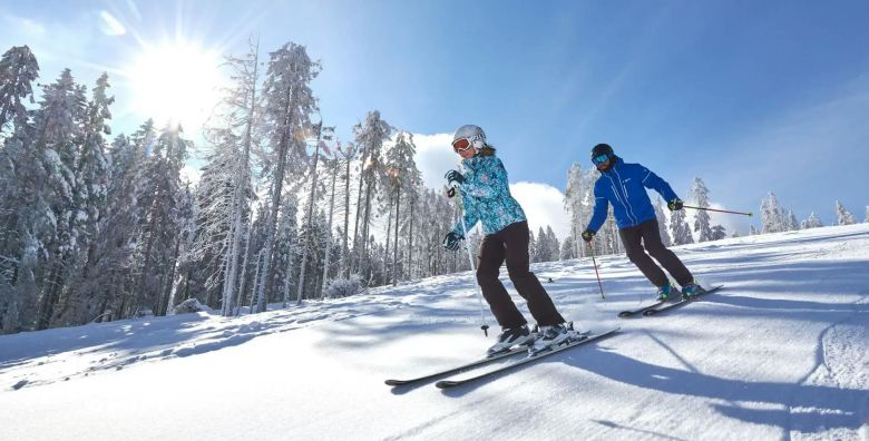 Slastice - Akcija, popust i sniženje. (ponuda: 252934)
