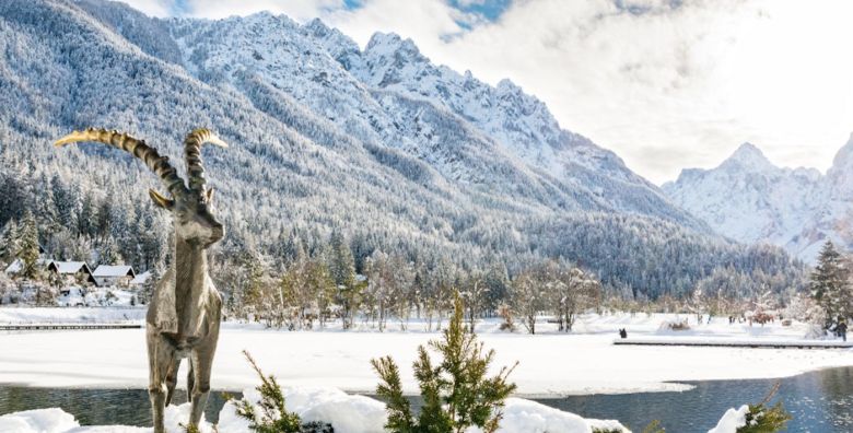 Hotel Alpina  Last minute odmor u Kranjskoj Gori Kranjska Gora Slovenija  258 €