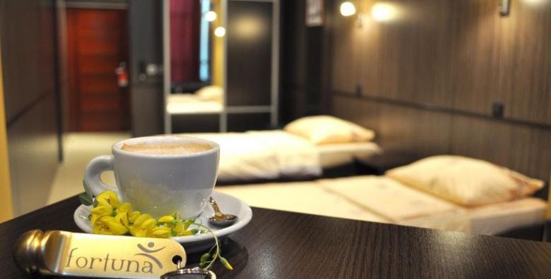 Putovanja (ponuda: 253855)