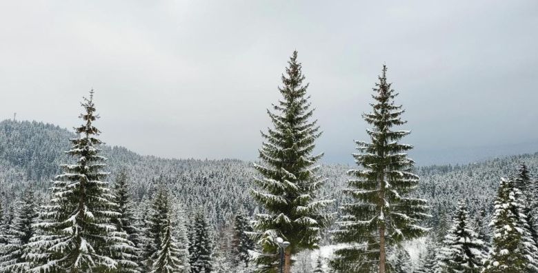 Hotel Forest  Zimski odmor na Jahorini za troje Pale Bosna i Hercegovina  128 €
