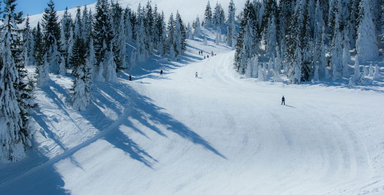 Hotel Forest  Sijecanjski odmor na Jahorini za troje Pale Bosna i Hercegovina  158 EUR  1x nocenje u trokrevetnoj Superior sobi za 3 osobe Dorucak