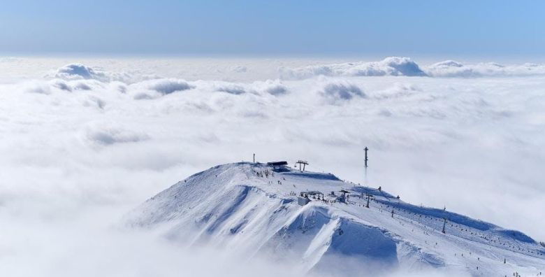 Ljubimci - Akcija, popust i sniženje. (ponuda: 255067)