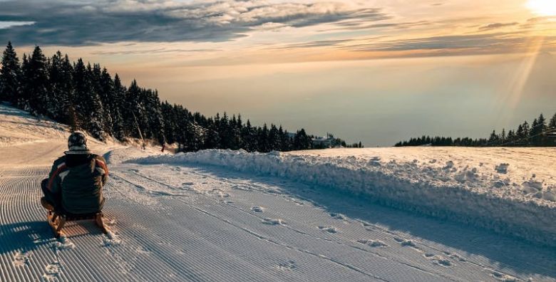 Ljubimci - Akcija, popust i sniženje. (ponuda: 255068)