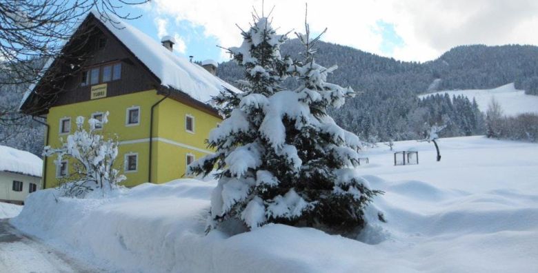 Apartmani Tubej Bohinj  Zimska bajka u Bohinju Bohinjska Bistrica Slovenija  180 €