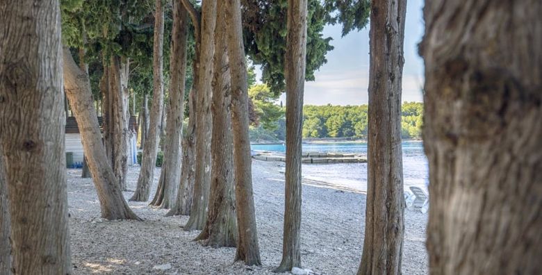 Aminess Vival Velaris Resort  Obiteljsko first minute ljeto na Bracu Supetar otok Brac Dalmacija Hrvatska  1 059 EUR  4x nocenje u dvokrevetnoj Superior sobi s balkonom pogled park za 2 osobe 1 dijete do 9 99 godina i 2 dijete do 2 99 godina besplatno  Polupansion