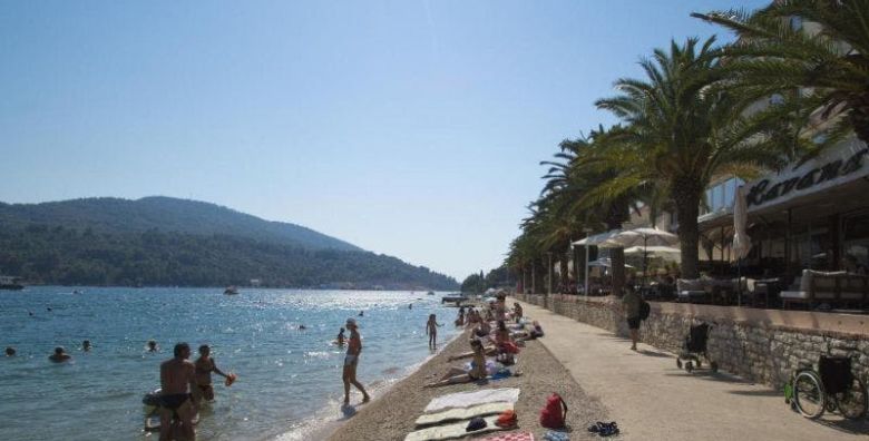 Energetski certifikat - Akcija, popust i sniženje. (ponuda: 256995)